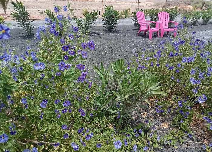 Alizes Пуэрто-дель-Росарио