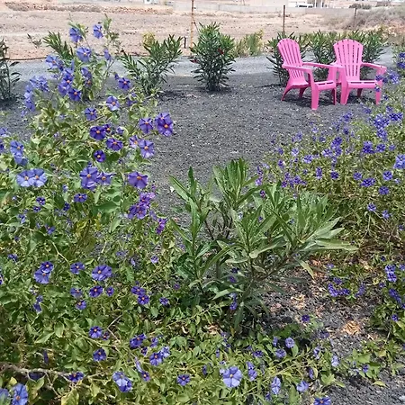 Alizés Puerto del Rosario (Fuerteventura)